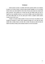 Referāts 'Baroka laika arhitektūra', 10.