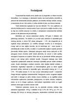 Referāts 'Iekšzemes kopprodukts', 21.