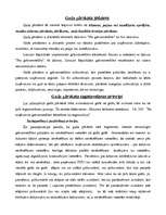 Referāts 'Uzņēmuma gada pārskats, tā sagatavošana', 4.