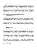 Referāts 'Uzņēmuma gada pārskats, tā sagatavošana', 7.