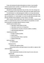 Biznesa plāns 'Interneta klubs - SIA "Tīkls"', 5.