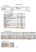 Biznesa plāns 'Interneta klubs - SIA "Tīkls"', 17.