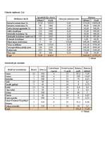 Biznesa plāns 'Interneta klubs - SIA "Tīkls"', 18.
