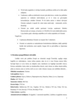 Referāts 'Uzņēmuma dibināšanas iespējas Ukrainā', 5.