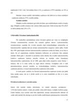 Referāts 'Uzņēmuma dibināšanas iespējas Ukrainā', 17.