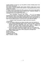 Referāts 'Latvijas valsts pasludināšana', 17.