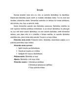 Referāts 'Šķīdinātāju izmantošana traipu tīrīšanai', 3.