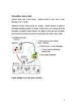 Konspekts 'Lamblioze', 4.