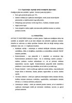 Referāts 'AS "Balvu maiznieks" ārējās un iekšējās vides analīze', 7.