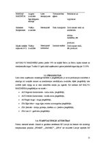 Referāts 'AS "Balvu maiznieks" ārējās un iekšējās vides analīze', 13.