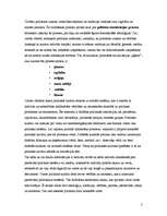 Eseja 'Politiskās kultūras tipoloģija saskaņā ar Civic Culture koncepciju', 3.