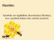 Prezentācija 'Biškopības produkti un to pielietojums', 3.