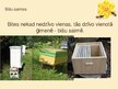 Prezentācija 'Biškopības produkti un to pielietojums', 6.