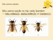 Prezentācija 'Biškopības produkti un to pielietojums', 7.