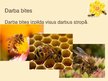 Prezentācija 'Biškopības produkti un to pielietojums', 10.