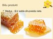 Prezentācija 'Biškopības produkti un to pielietojums', 11.