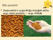 Prezentācija 'Biškopības produkti un to pielietojums', 13.