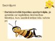 Prezentācija 'Biškopības produkti un to pielietojums', 25.