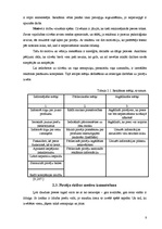 Referāts 'Reklāmas un akciju ietekme uz pircēju uzvedību pārtikas tirdzniecības uzņēmumos', 8.