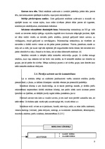 Referāts 'Reklāmas un akciju ietekme uz pircēju uzvedību pārtikas tirdzniecības uzņēmumos', 9.