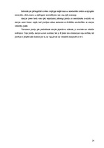 Referāts 'Reklāmas un akciju ietekme uz pircēju uzvedību pārtikas tirdzniecības uzņēmumos', 24.