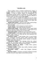 Referāts 'Konflikta būtība', 3.