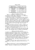 Konspekts 'Magnijs', 1.