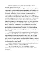 Referāts 'Uzņēmuma mārketinga anlīze "Cult"', 3.