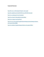 Referāts 'Uzņēmuma mārketinga anlīze "Cult"', 19.