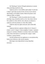 Biznesa plāns 'SIA “Mandragora”', 5.