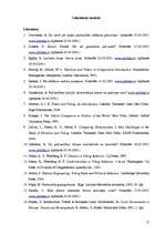 Referāts 'Vēlētāju uzvedību ietekmējošie faktori pašvaldību vēlēšanās', 17.