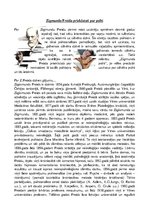 Eseja 'Zigmunda Freida priekšstati par psihi', 1.