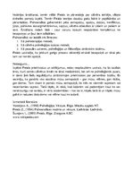 Eseja 'Zigmunda Freida priekšstati par psihi', 3.