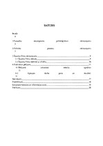 Referāts 'Šausmu filmu ietekme uz pusaudžu psihiskajiem procesiem', 4.