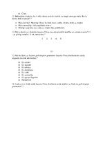 Referāts 'Šausmu filmu ietekme uz pusaudžu psihiskajiem procesiem', 26.