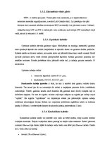 Referāts 'Lokālā datortīkla ierīkošana Aknīstes vidusskolā', 13.