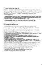 Konspekts 'Atlantijas okeāns', 2.