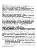 Konspekts 'Eksāmena jautājumi un atbildes Valsts un tiesību vēsturē', 6.