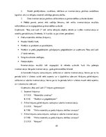 Prakses atskaite 'Uzņēmuma "Key & Lock"  grāmatvedības politikas un darbības raksturojums', 20.