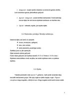 Referāts 'Analgētiskie līdzekļi', 7.