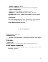 Referāts 'Analgētiskie līdzekļi', 9.