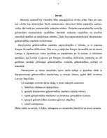 Referāts 'Grāmatvedības standarti Latvijas Republikā', 3.