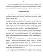 Referāts 'Grāmatvedības standarti Latvijas Republikā', 15.