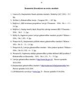 Referāts 'Grāmatvedības standarti Latvijas Republikā', 20.