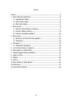 Referāts 'Dzīvojamās mājas projekts', 2.