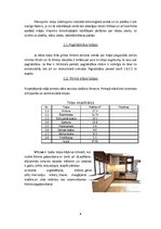 Referāts 'Dzīvojamās mājas projekts', 4.