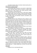 Referāts 'Dzīvojamās mājas projekts', 22.