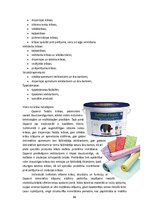 Referāts 'Dzīvojamās mājas projekts', 24.