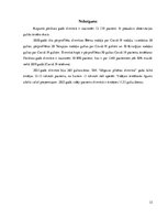 Referāts 'Jelgavas Pilsētas slimnīcas darbības analīze', 33.