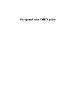 Referāts 'European Union Small and Medium Enterprises Policy', 1.